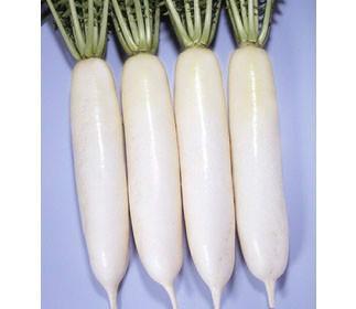 食用白蘿卜有什么好處？